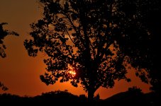 19th Aug 2015 001.JPG