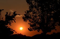 19th Aug 2015 005.JPG