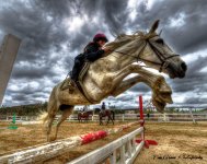 Horse Rider Jumping Post in HDR.jpg