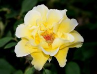 19th Aug 2015 019.JPG