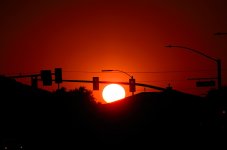 20th Aug 2015 015.JPG