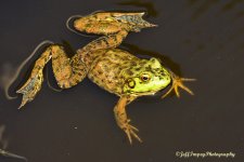 _DSC8762.jpg