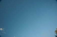 _DSC5916.jpg