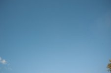 _DSC5917.jpg