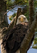 DSC_6887.jpg