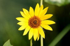 21st Aug 2015 007.JPG