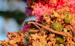 21st Aug 2015 047.JPG