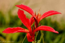 20150816-_D713147.jpg
