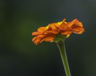 _DSC7318-Edit.jpg