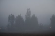 22nd Aug 2015 002.JPG