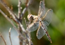 22nd Aug 2015 050.JPG