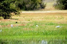 22nd Aug 2015 056.JPG