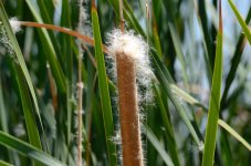 22nd Aug 2015 059.JPG