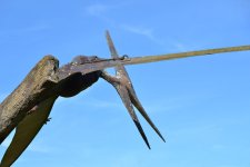 DSC_6574m.jpg