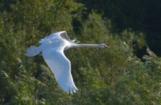 DSC_0292.jpg