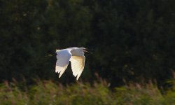DSC_0315.jpg