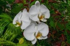 DSC_0045_DxO.jpg