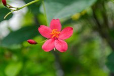 DSC_0046_DxO.jpg