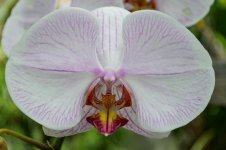 DSC_0056_DxO.jpg
