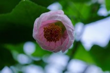 DSC_0061_DxO.jpg