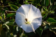 23rdAug 2015 005.JPG