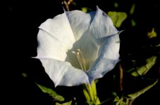 23rdAug 2015 008.JPG