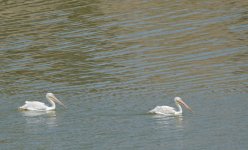 23rdAug 2015 012.JPG