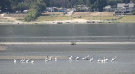 23rdAug 2015 022.JPG