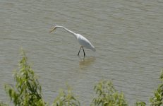 23rdAug 2015 027.JPG