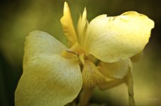 _AAA6126 - Version 2.jpg