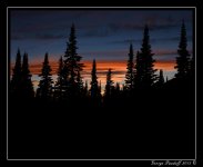 _DSC_3214.jpg