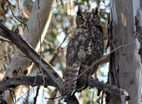 24th Aug 2015 019.JPG