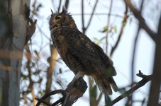 24th Aug 2015 030.JPG