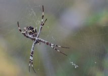 24th Aug 2015 025.JPG