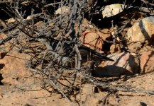 24th Aug 2015 013.JPG