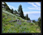 _DSC_3265.jpg