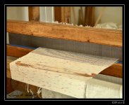 Web_DSC_3399.jpg