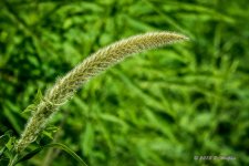 D71_5846.jpg