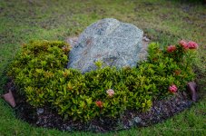 flower-stone-1.jpg