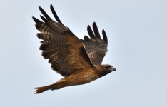 25th Aug 2015 007.JPG