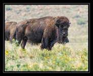 Web_DSC_5253.jpg