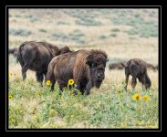 WEb_DSC_5259.jpg