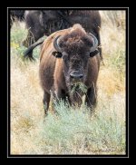 Web_DSC_5270.jpg