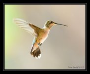 Web_DSC_5205.jpg
