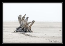 Web_DSC_5314.jpg