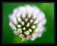 Web_DSC_5454.jpg