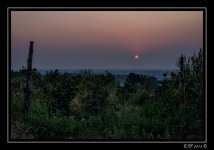 Web_DSC_5422.jpg