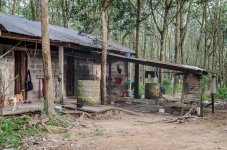 danei-farm-part-2-4.jpg