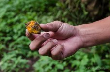 danei-farm-part-2-12.jpg