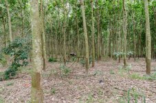 danei-farm-part-3-7.jpg